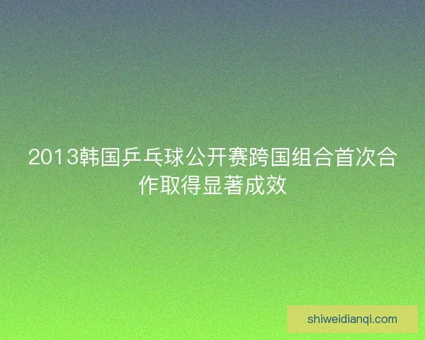 2013韩国乒乓球公开赛跨国组合首次合作取得显著成效