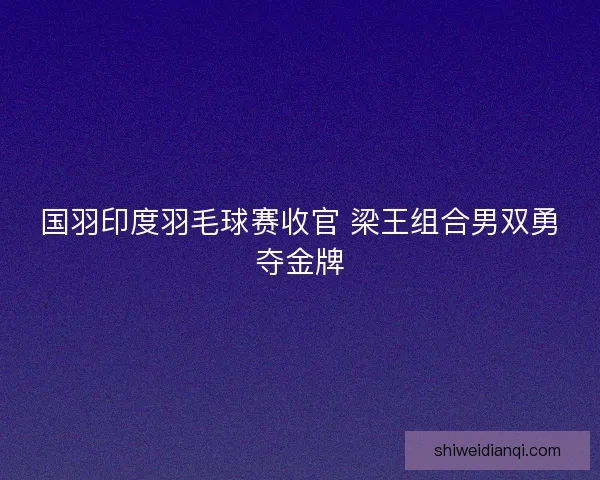 国羽印度羽毛球赛收官 梁王组合男双勇夺金牌