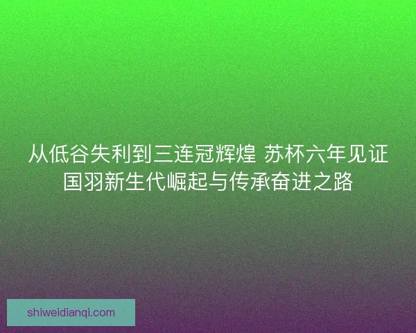 从低谷失利到三连冠辉煌 苏杯六年见证国羽新生代崛起与传承奋进之路